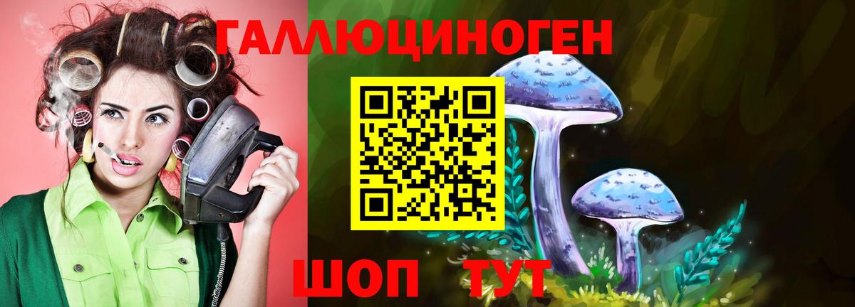Псилоцибиновые грибы Psilocybine cubensis Истра
